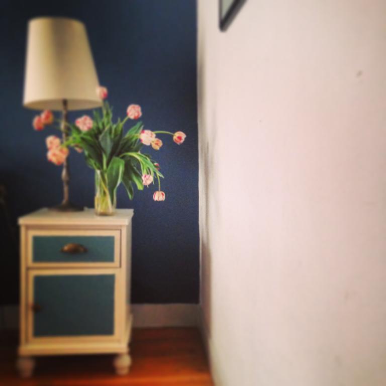 The Blue Sheep Amsterdam Room photo
